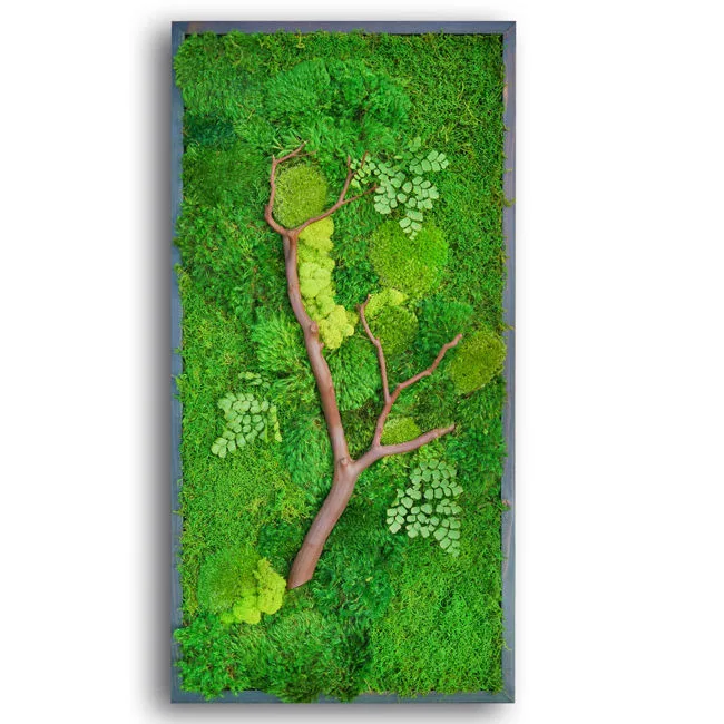 Stabilized Environmental Moss New Low Price Moss Board Home Office Decoration Wall