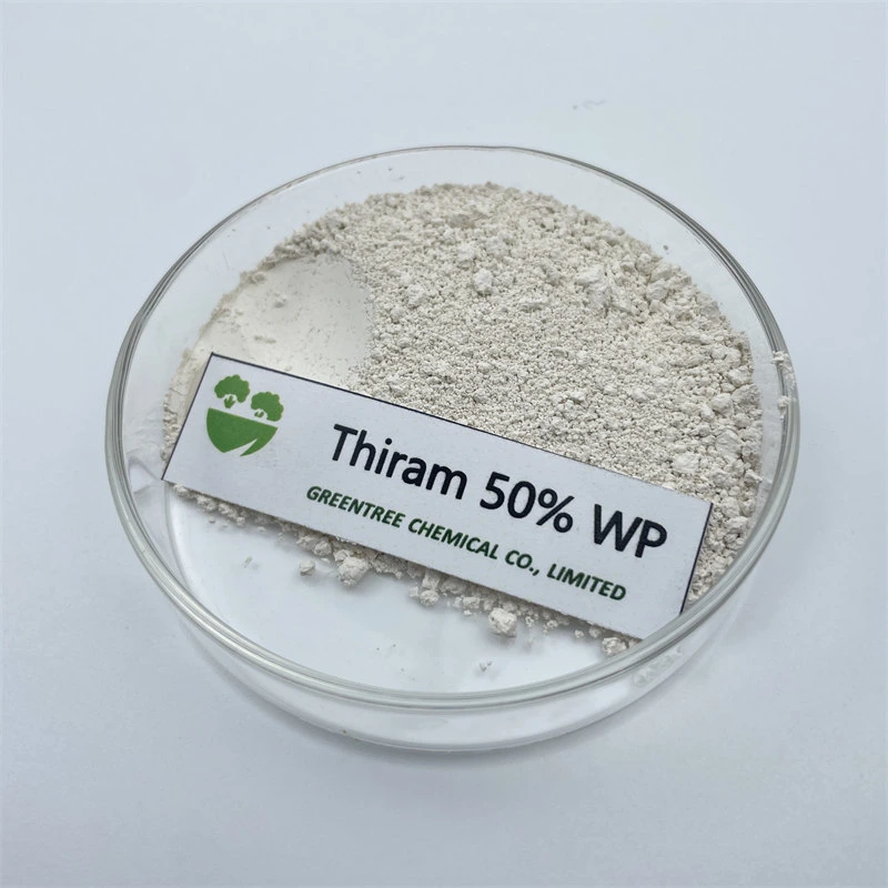 Produits agrochimiques pesticides produits fongicides Thiram 50% WP