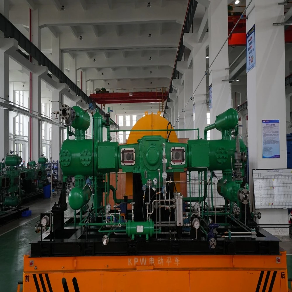 Chemical Industry Oil-Free High Capacity Purity Pressure Piston Reciprocating Diaphragm Gas Compressor