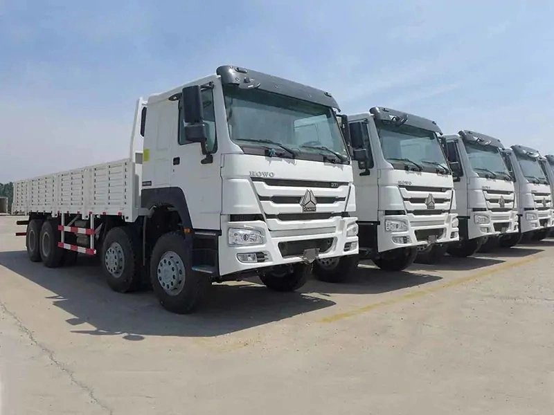 Sinotruk HOWO Cargo Truck Cargo Van Loads 10t Paylload