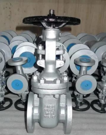 Xtv ANSI Carbon Steel Wedge Type Double Gate Valve