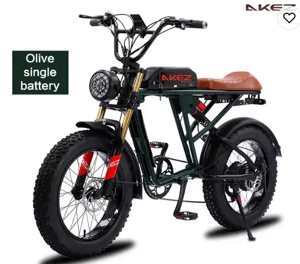 20*4,0 pulgadas Retro Electric Dirt Bike 48V larga duración de la batería Bicicleta de montaña eléctrica se puede mejorar con baterías dobles