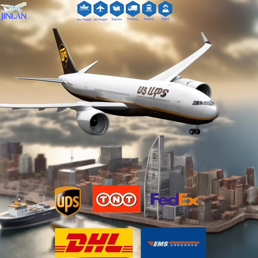 Professional International Air Freight Delivery Agent From China to Samoa