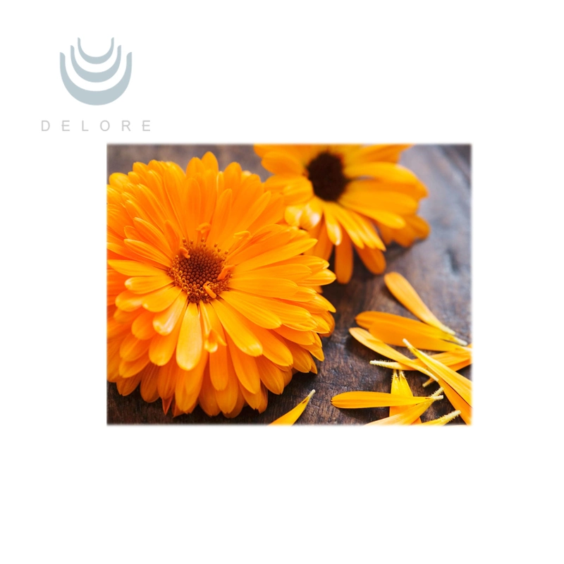 Norme BPF extrait de Marigold zéaxanthine cryptoxanthine pour la santé et Beauté