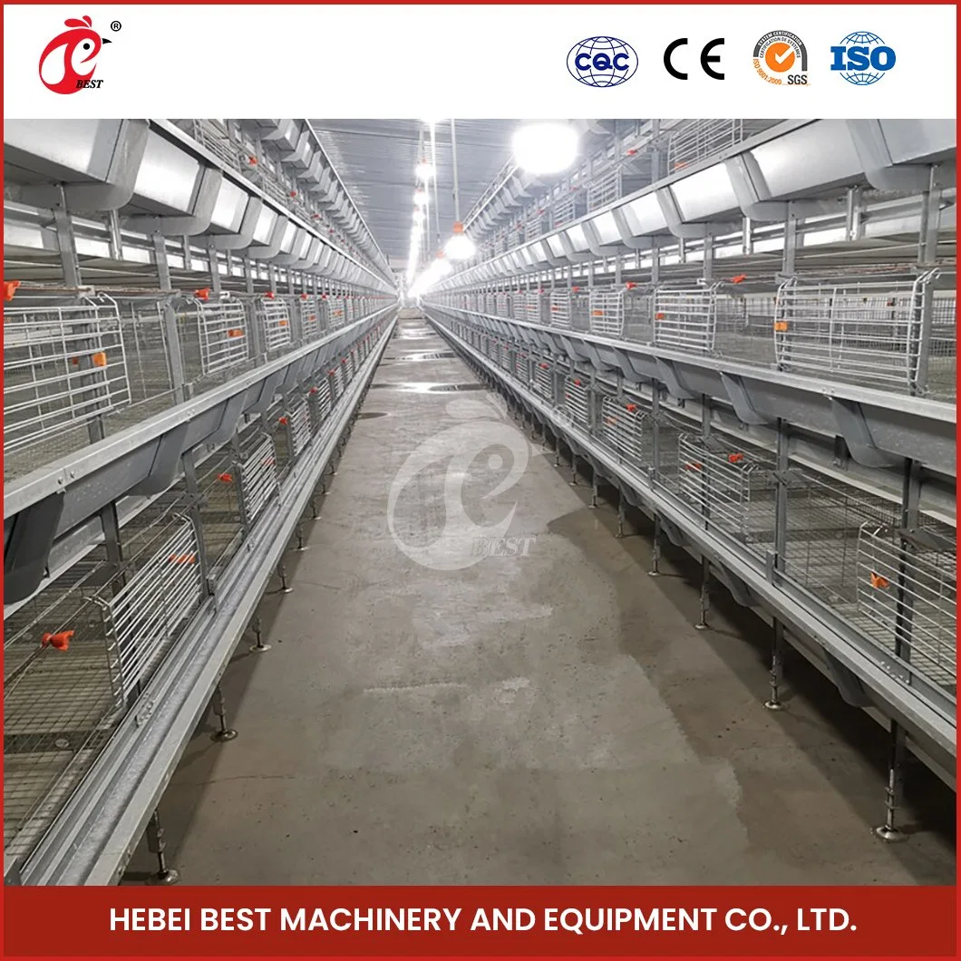 Bestchickencage China Plastic Hen House Factory H Frame Automatic Boriler Cages Sample Available Applicable Restaurant Cock Chicken Cage