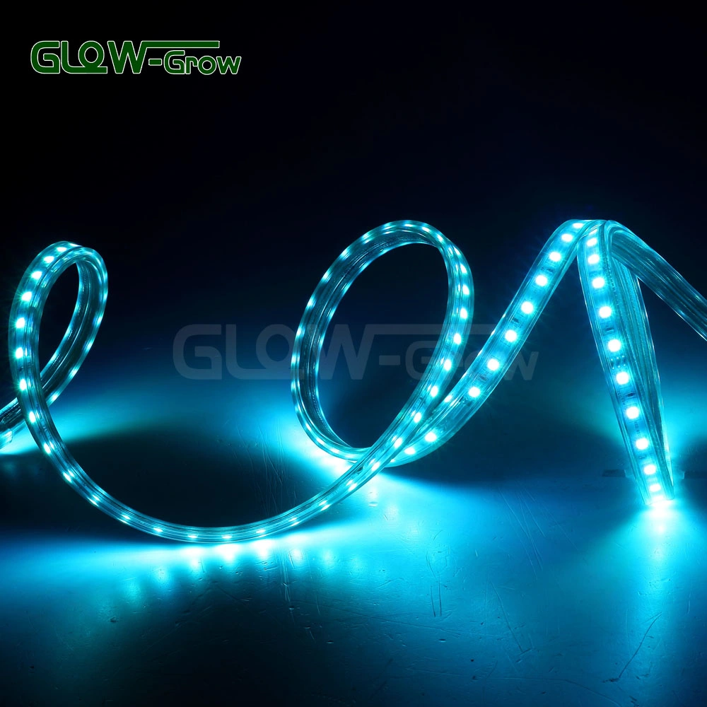 SMD 5050 RGB LED Chip Strip Light for Restaurant Decoration