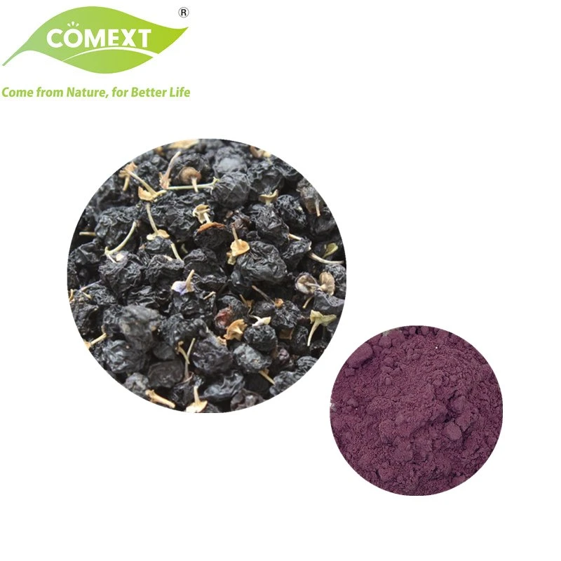 Comext USA Warehouse Precio a granel Extracto de jugo de Wolfberry secado orgánico Plantas Negro Goji Berries polvo