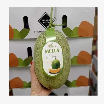 Vente chaude de melon de Hami - Cantaloup Hamigua