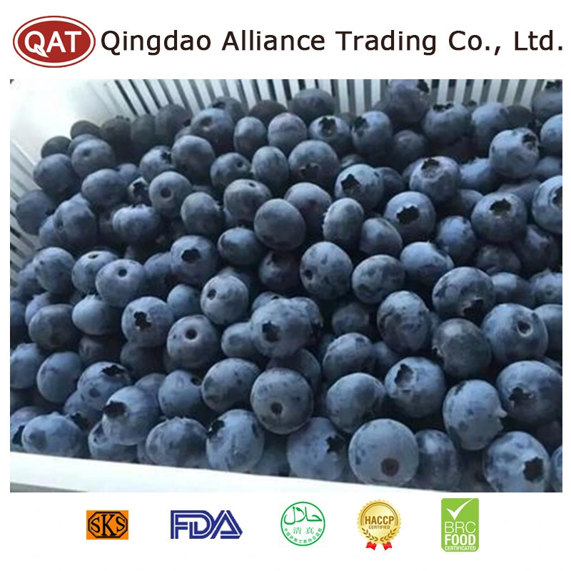 New Season Natural Organic Frozen Blueberry with Good Price Bulk IQF