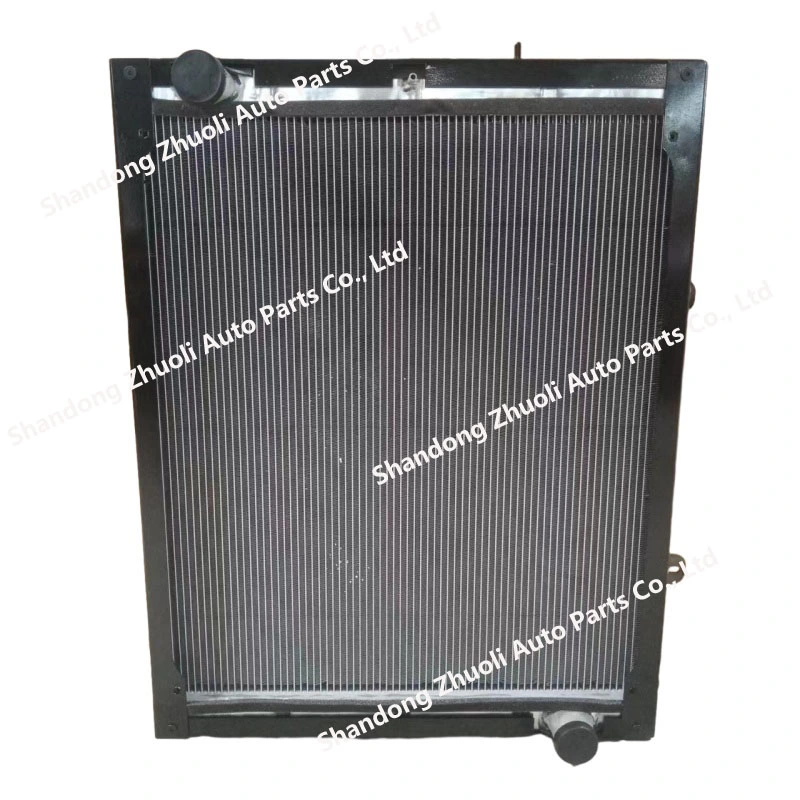 Shacman Radiator Dz95259532203 Sinotruk Shacman Foton FAW Truck Spare Parts