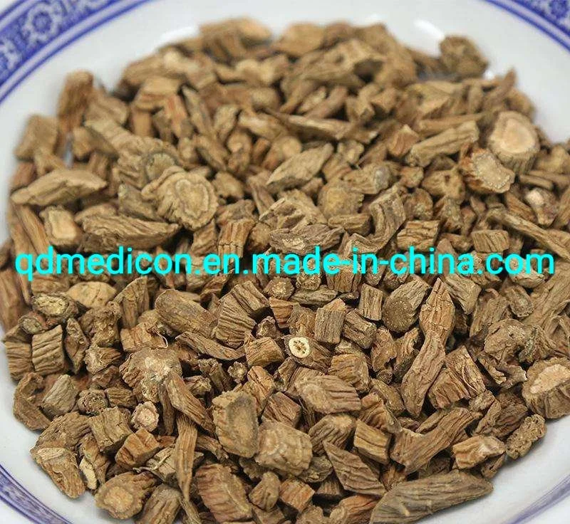 Dipsacus Asperoides (raíz) materia prima preparada Medicina tradicional herbaria China Tonificar Yang