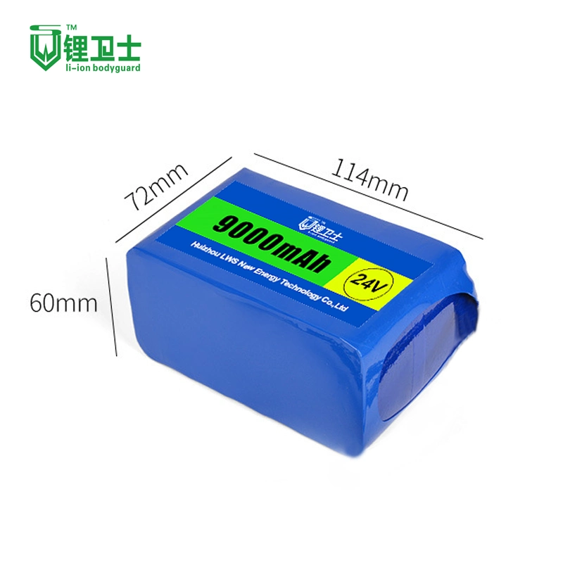 Lws Lithium Iron E-Bike Battery 24V 8s1p 2000mAh Battery Pack