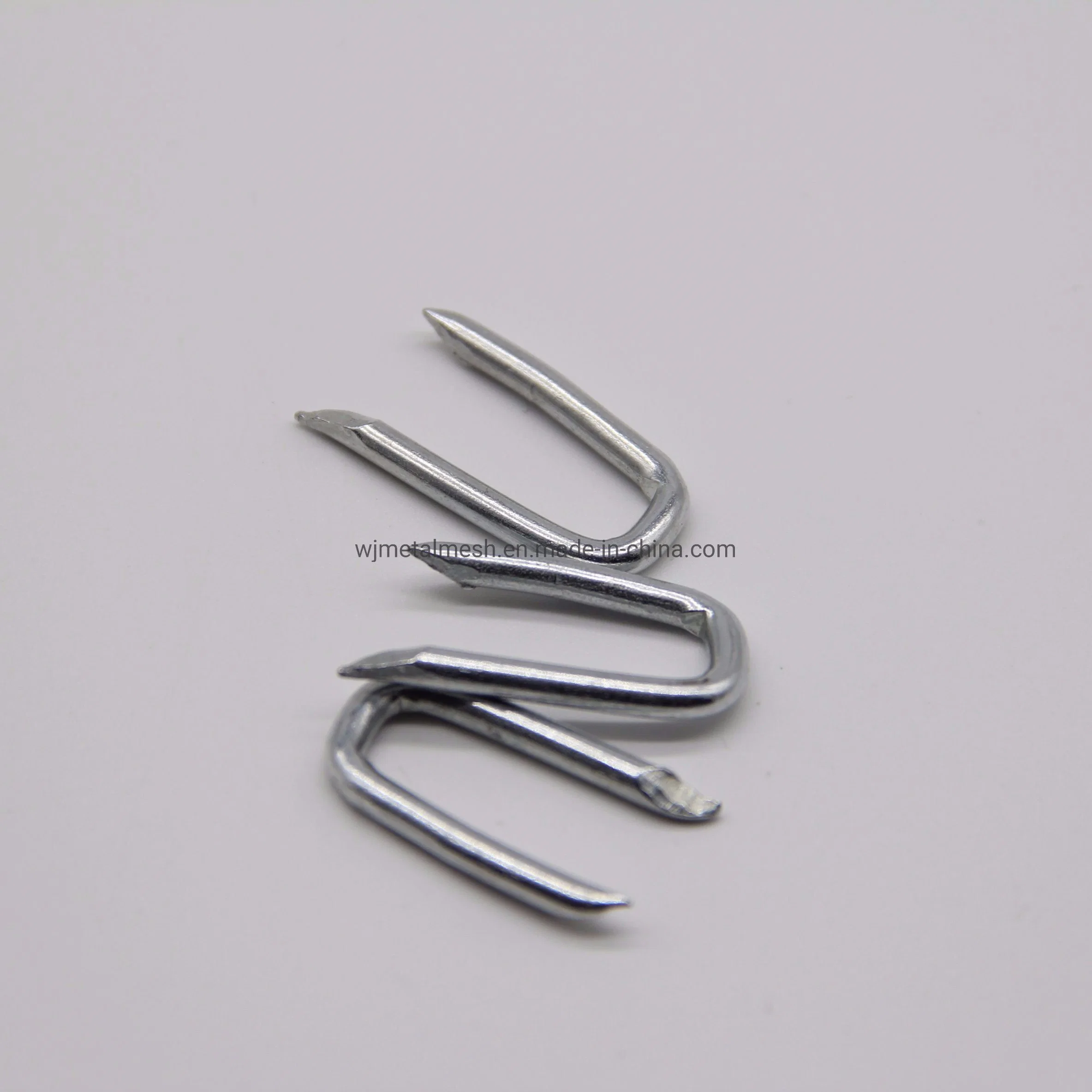 Hot Dipped Galvanized U Shape Barbed Nails Fence Staple