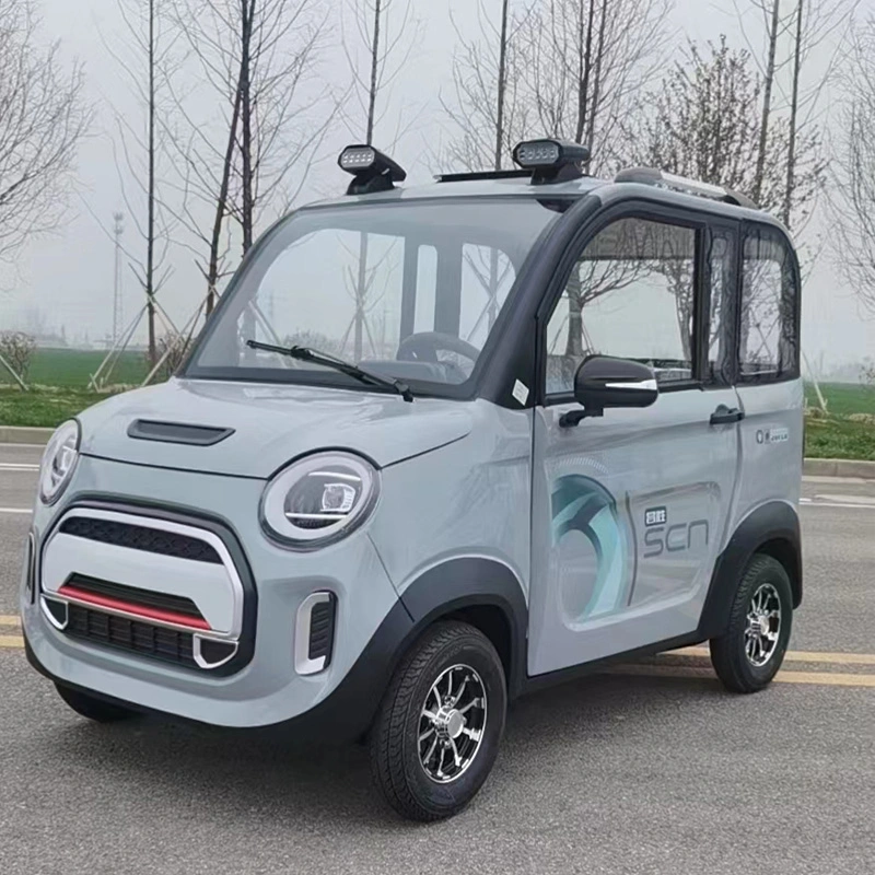 2023 automóvel elétrico de baixo preço novo de energia Totoro 4 rodas elétrico Carro