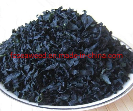 Top Quanlity Seafood Seaweed Wakame for Wholesale