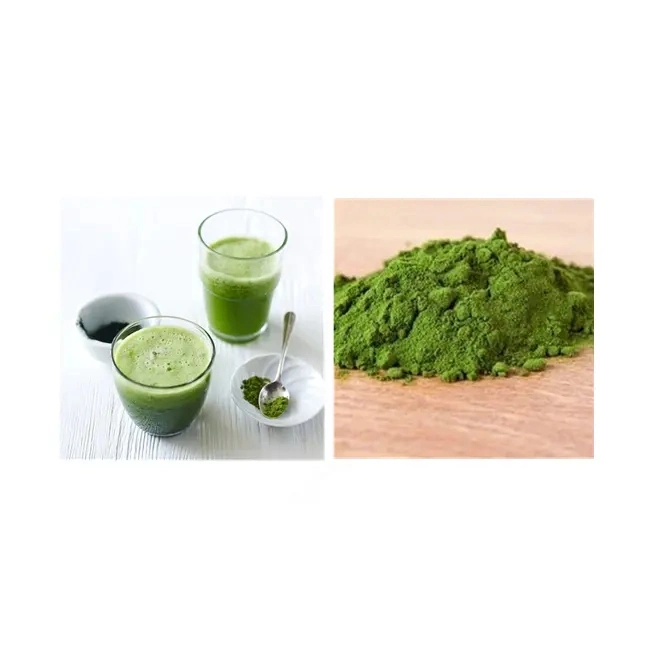 Food Supplement Factory Supply 50% Protein Chlorella Powder