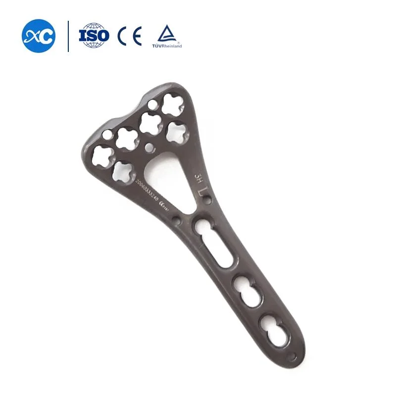 Orthopedic Multi-Axial Distal Radius Palm Small Fragment Locking Plates Titanium Trauma Implant