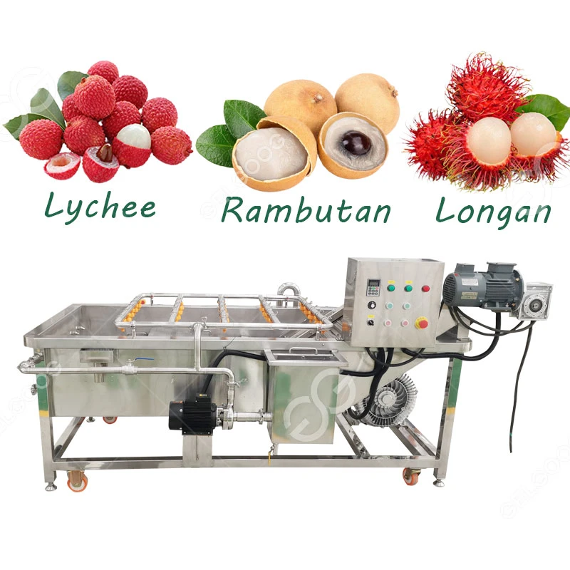 Industrial Vegetable Fruit Wahser Lychee Rambutan Longan Washing Machine