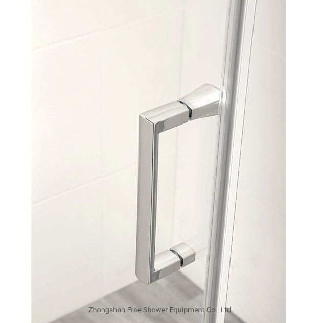 Bathroom Simple Shower Room with One Pivot Door