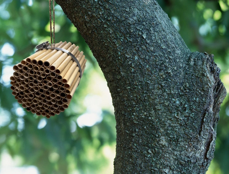 Décoration de l'extérieur Jardin de l'habitat des oiseaux de la pendaison d'oiseaux en bois de bricolage Chambre Birdhouse