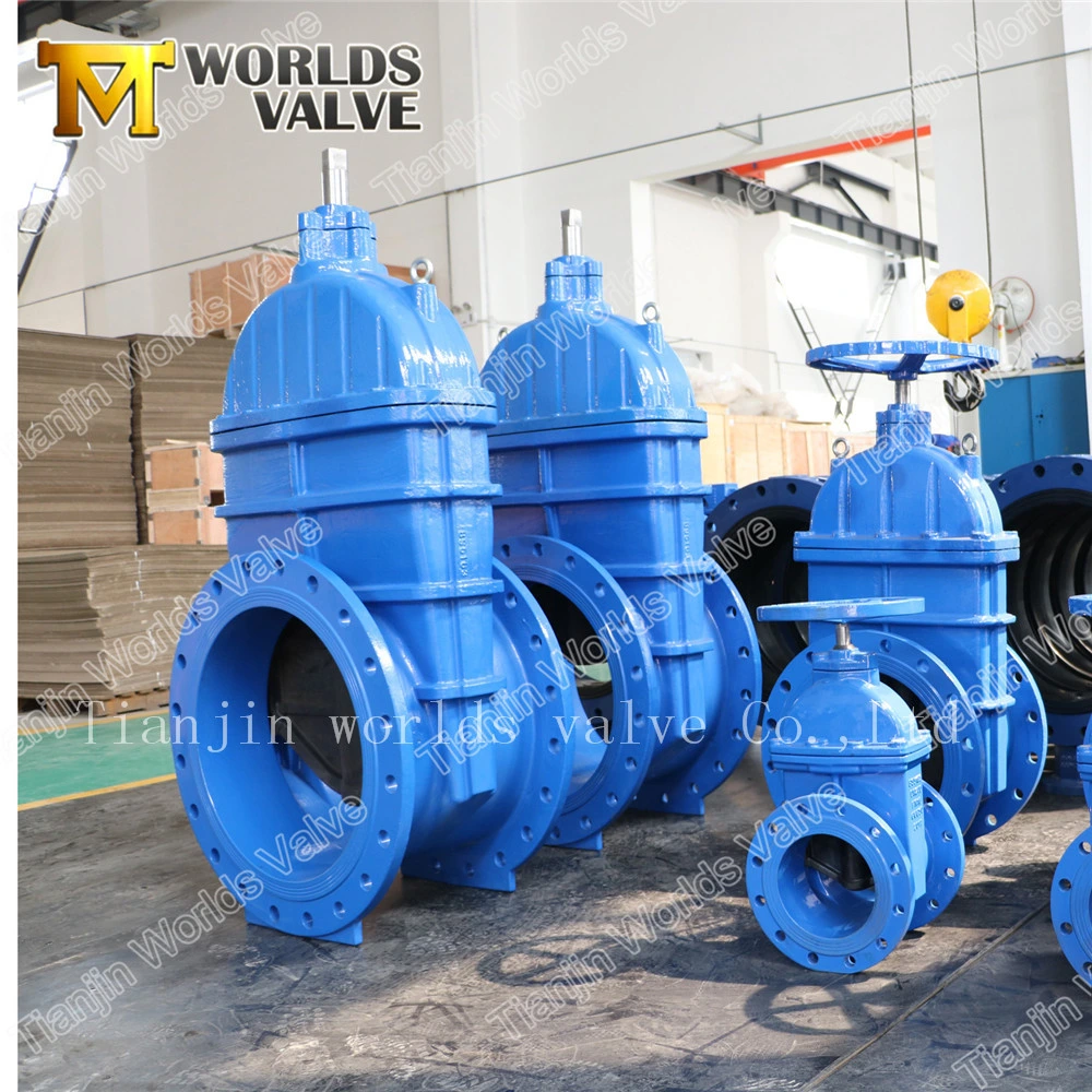 Ductile Iron Rubber Coated Gate Valve for Water Pipeline