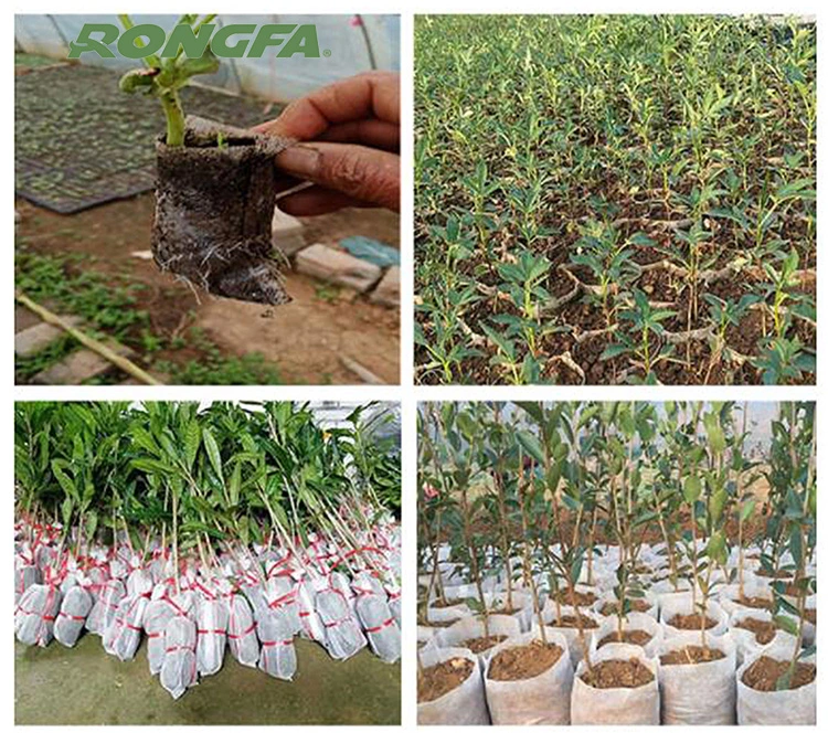 Eco Friendly Seedling Grow Bag Non Woven Biodegradable Non Woven Felt Fabric Plant Grow Bags