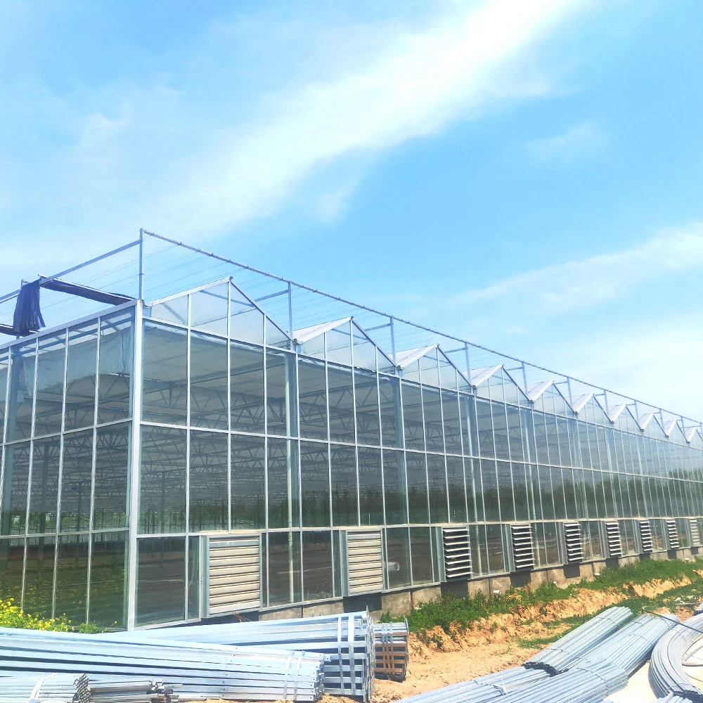 Дешевая Multi-span/Single Agriculture тоннель арочный пластиковая пленка стекло Greenhouse для Ферма/сад с гидропоническим охлаждением влажного занавеса