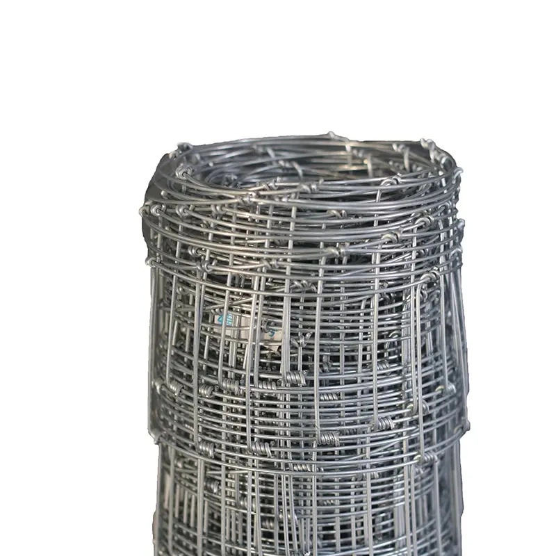 Galvanized Wire Mesh /Wire Mesh/ Galvanized/PVC Welded Wire Mesh