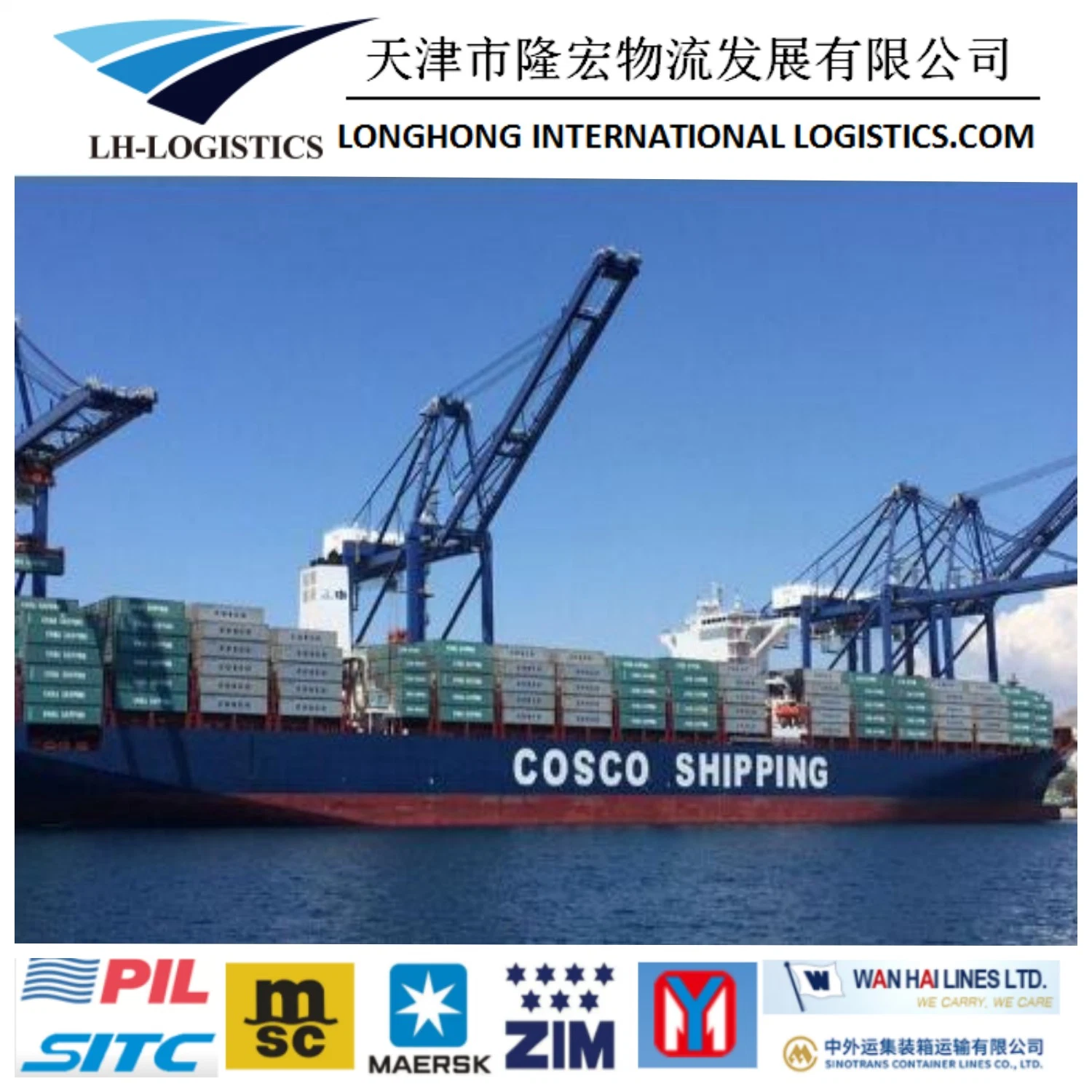 Shipping Service Forwarder Shipping to Europe Sea Freight Logistics Freight Forwarder 1688