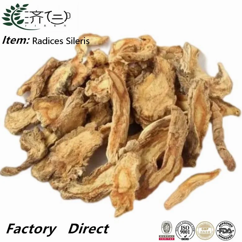 Fang Feng Herb naturel Radix séché Saposhnikoviae Radix pour usine Alimentation