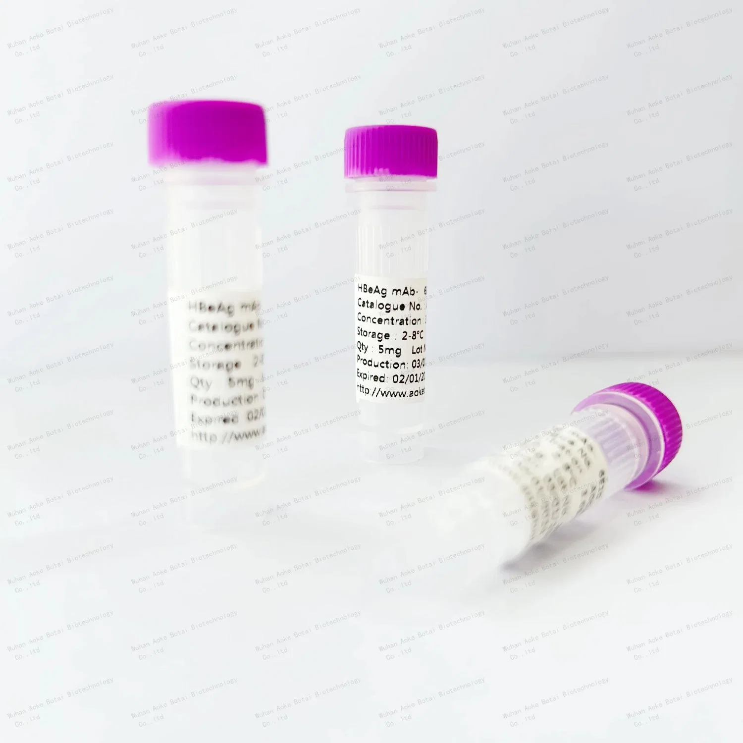 Best quality HP mab antibody antigen with bulk production