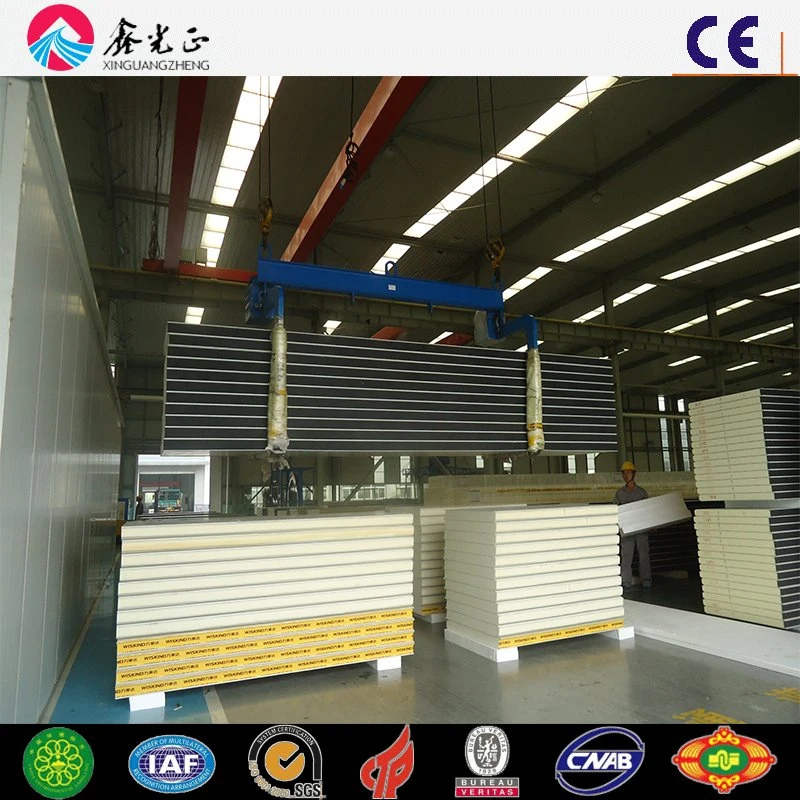 PU Sandwich Panel/Steel Sandwich Panel (SSP-14304)