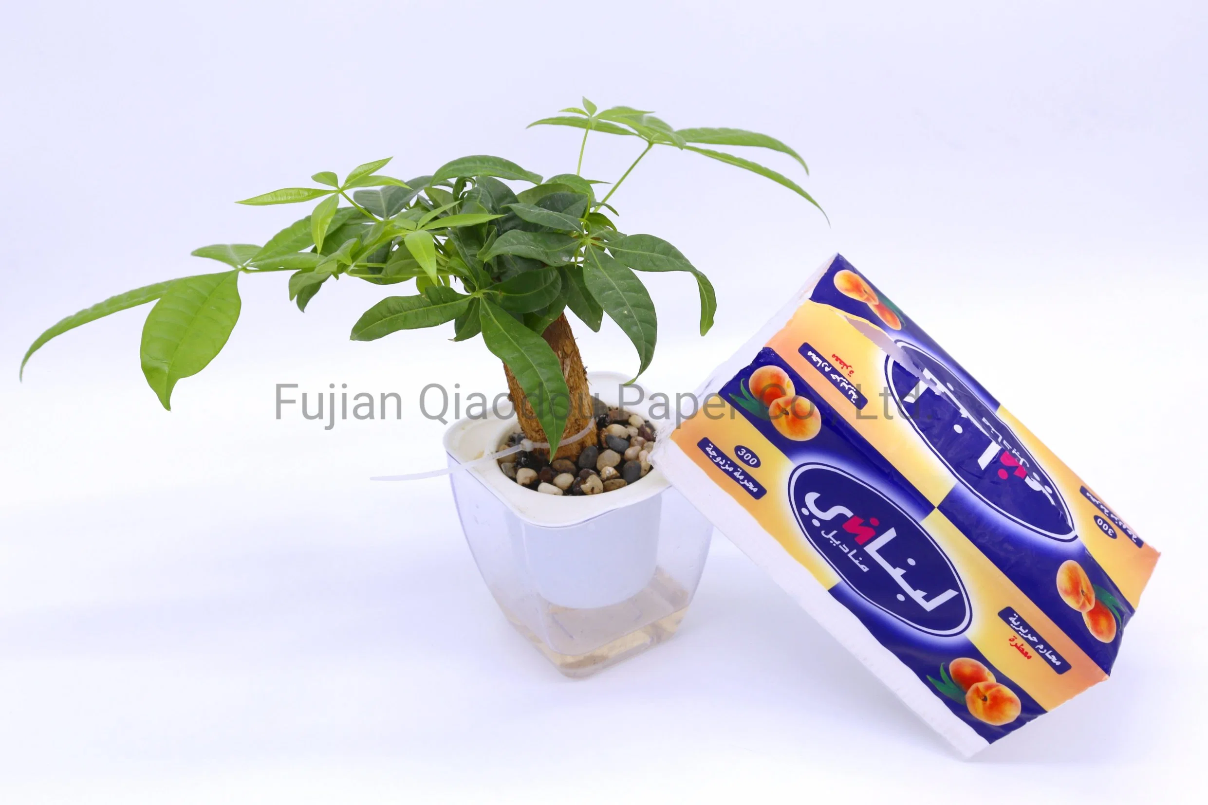 Factory Direct Biodegradable Clean Facial Tissue Paper Soft Facial Tissue Paper