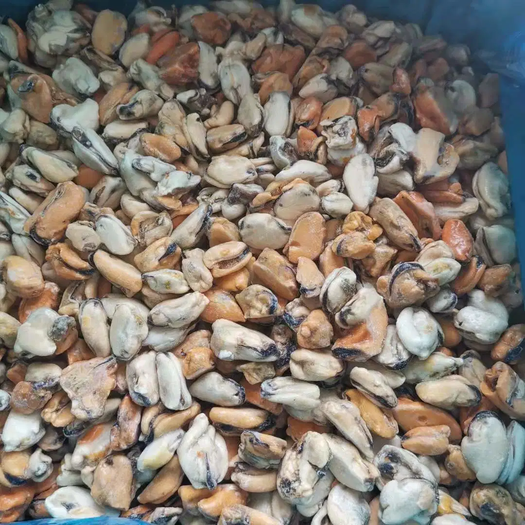 Ifq Frozen Mussel Meat 100-200PCS/Kg