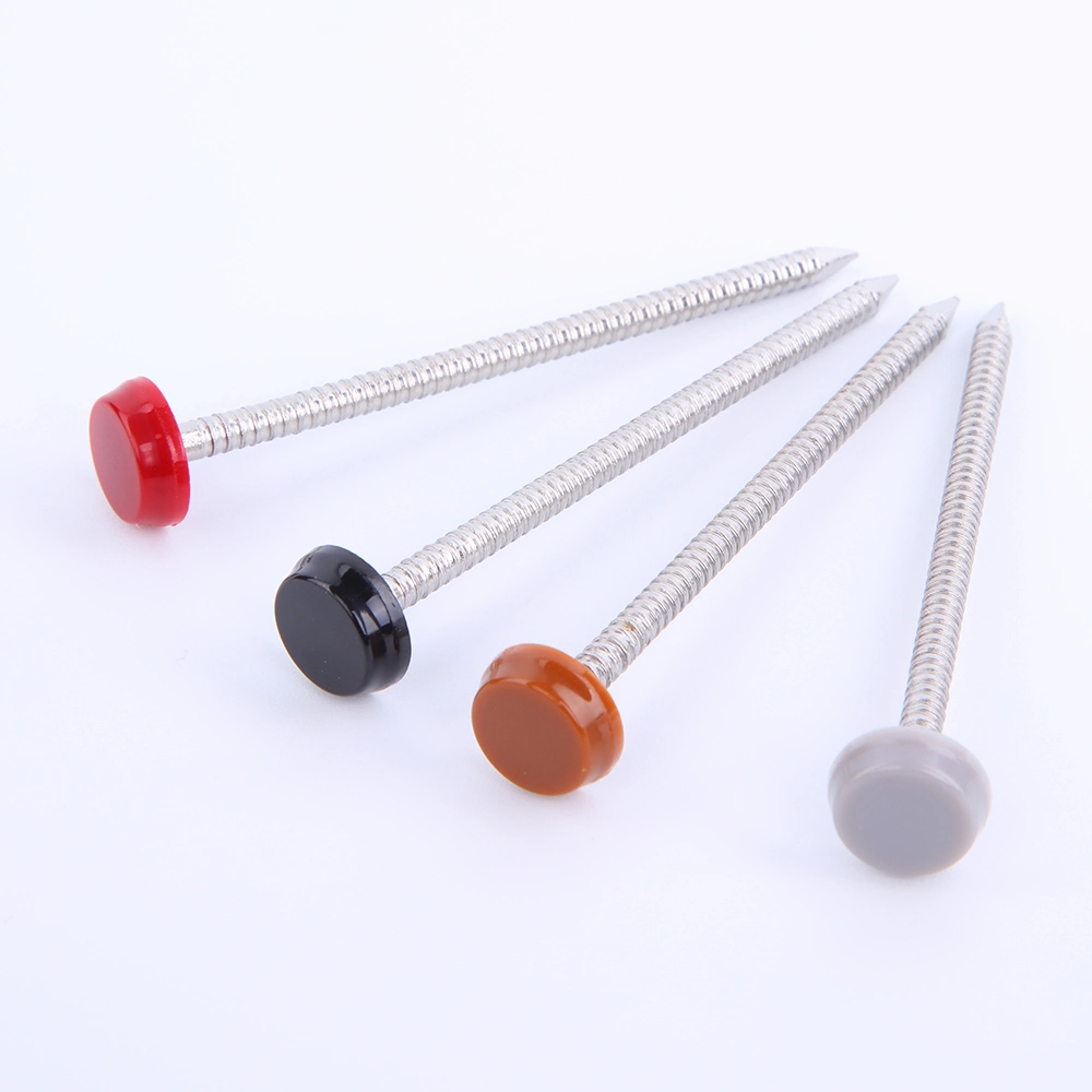 Colored Plastic Top Fascia Stainless Steel Annular Ring Polytop Pins&Nails