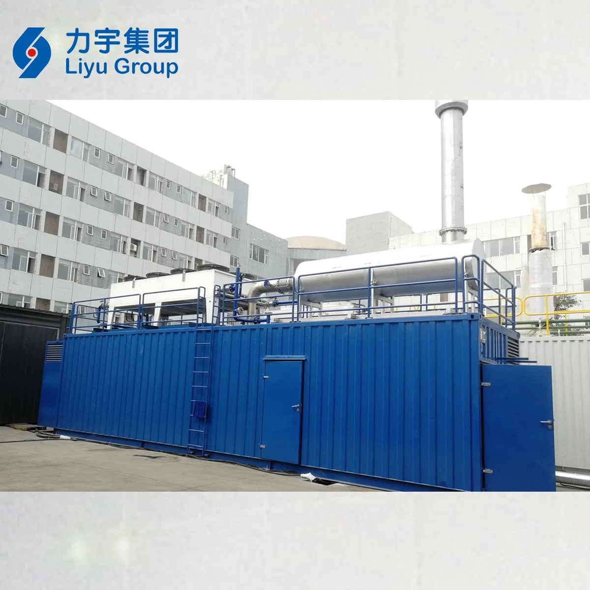 Liyu Gas Power 1MW/1000kw 12V Cylinder Low Voltage High Concentration Methane Gas Generating Set