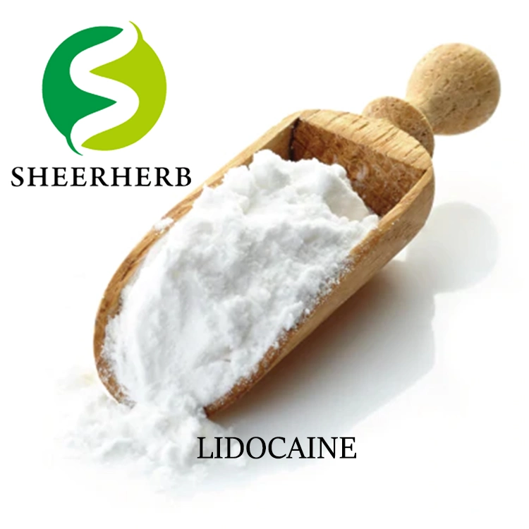 Großhandel Lidocain Pulver 99% Top-Qualität Lidocain CAS 137-58-6 Lidocain