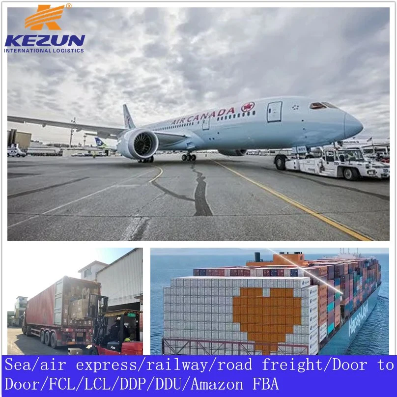 Dongguan Freight Forwarder Sea Freight Shipping Company de Chine à DDP Royaume-Uni France