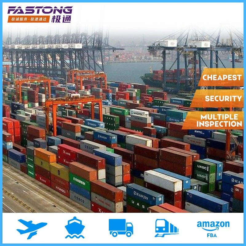 Sea Shipping LCL FCL Freight Forwarder Logistics Services From China to Egypt