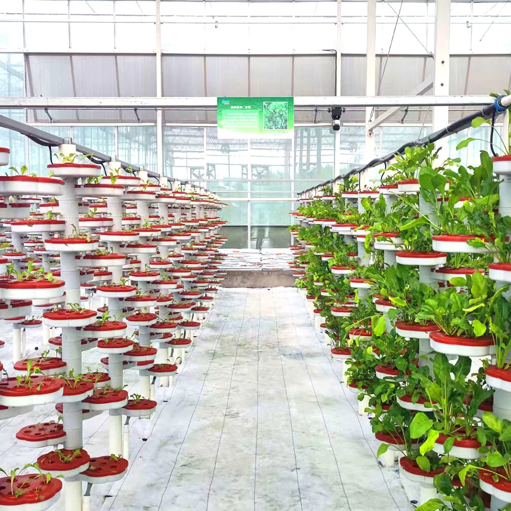 Fruit Soiless Cultivation Hydroponics Growing System with Glass/Film Greenhouse Temperature Control System