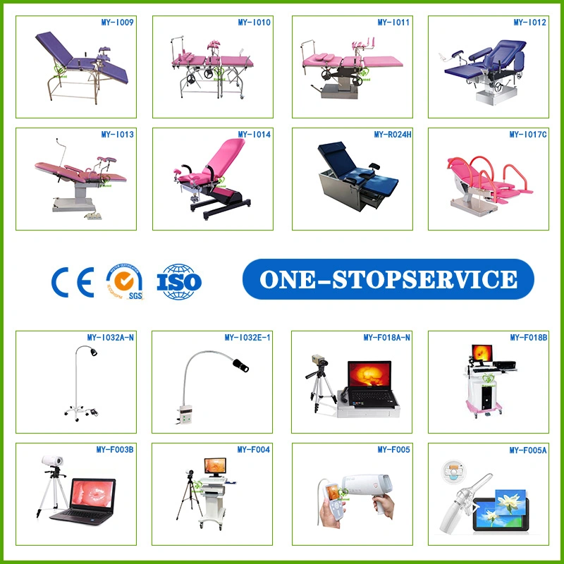 Obstetric Gynecology Medical Equipment/Infant Incubator/Electronic Digital Colposcope/Neonatal Oxygen Hoods/Baby Phototherapy/Cryosurgery/Baby Trolley Bed