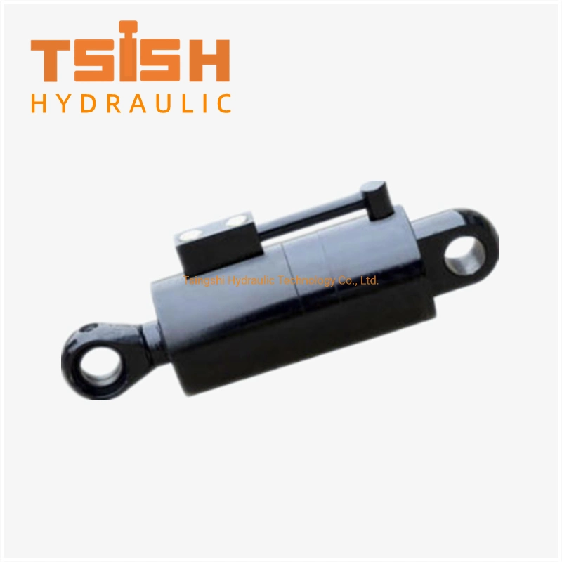 250kg 3m Lift Auto Leveling Helical Hydraulic Rotation Cylinder