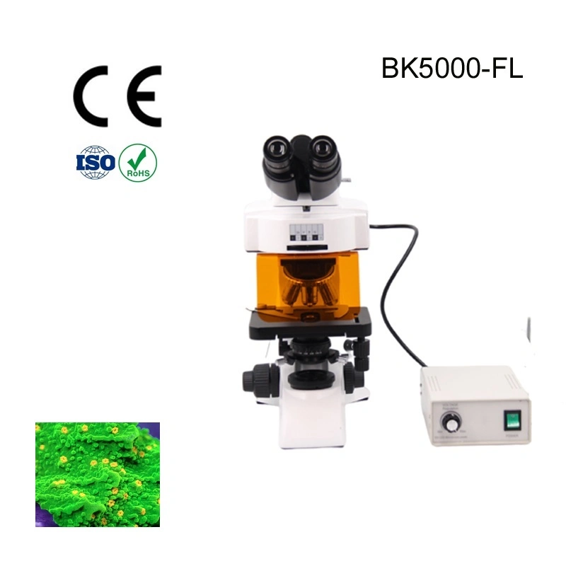 Proway Microscope Operating Training Fluorescence Microscope Manufacturer for Particle Microscopes