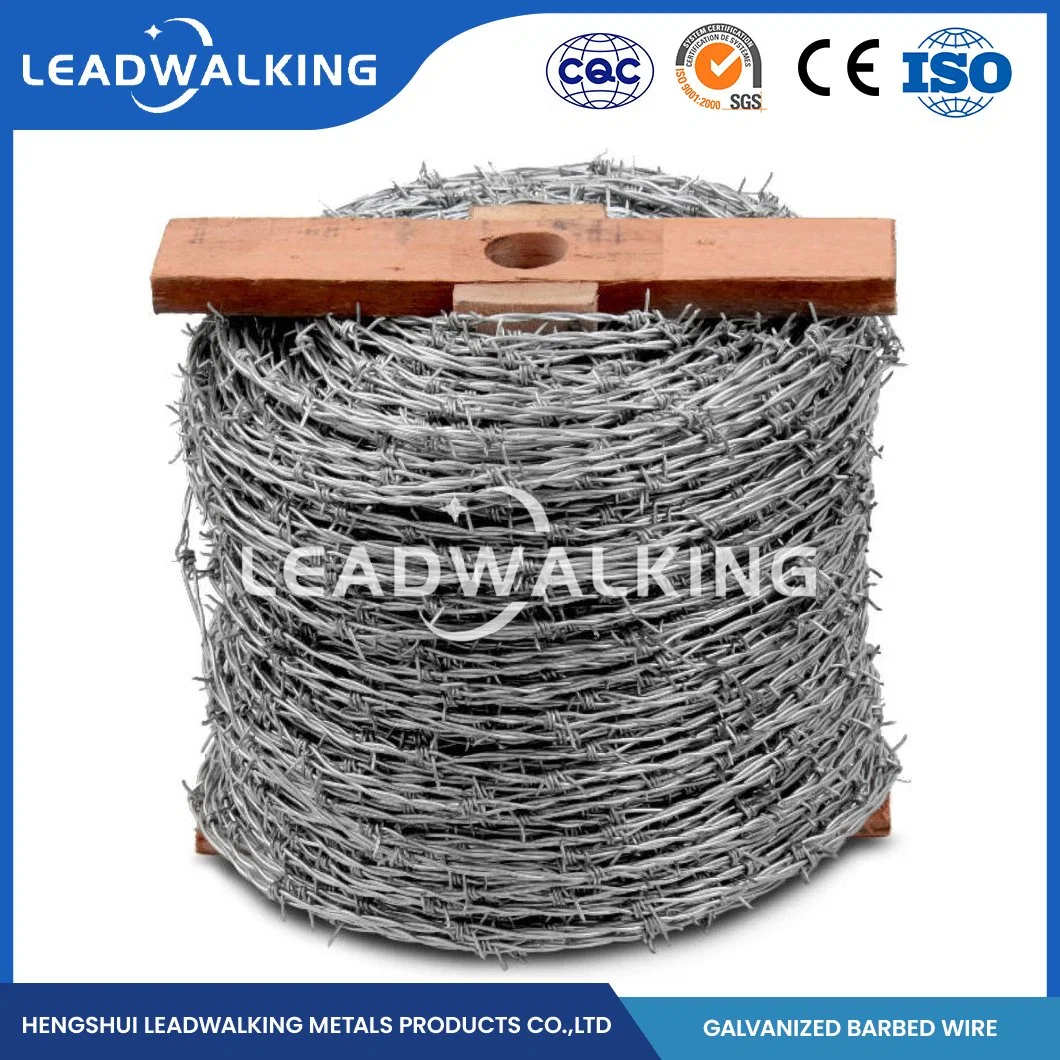 Leadwalking Types Barbed Wire Manufacturing ODM Custom Galvanized Diamond Razor Wire China 25mm Needle Length Galvanized Barbed Iron Wire