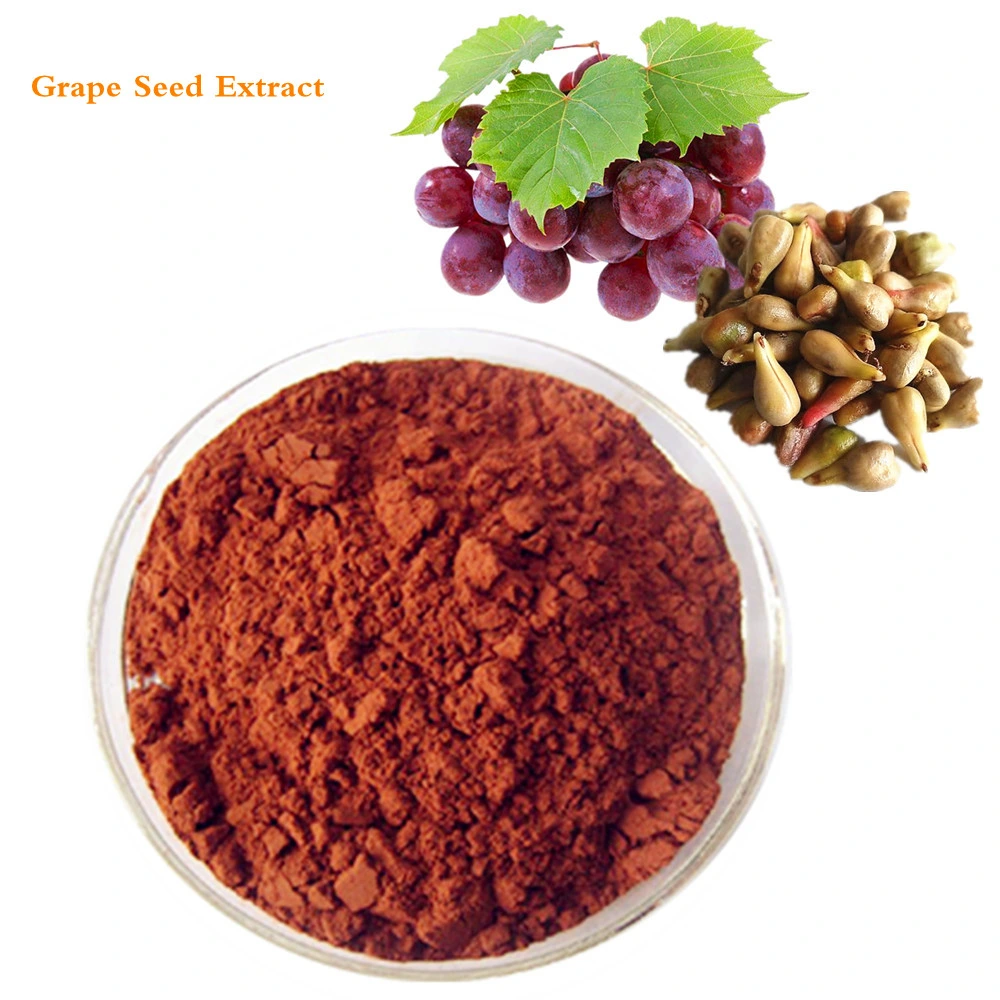 Natural 95% OPC Organic Grape Seed Extract