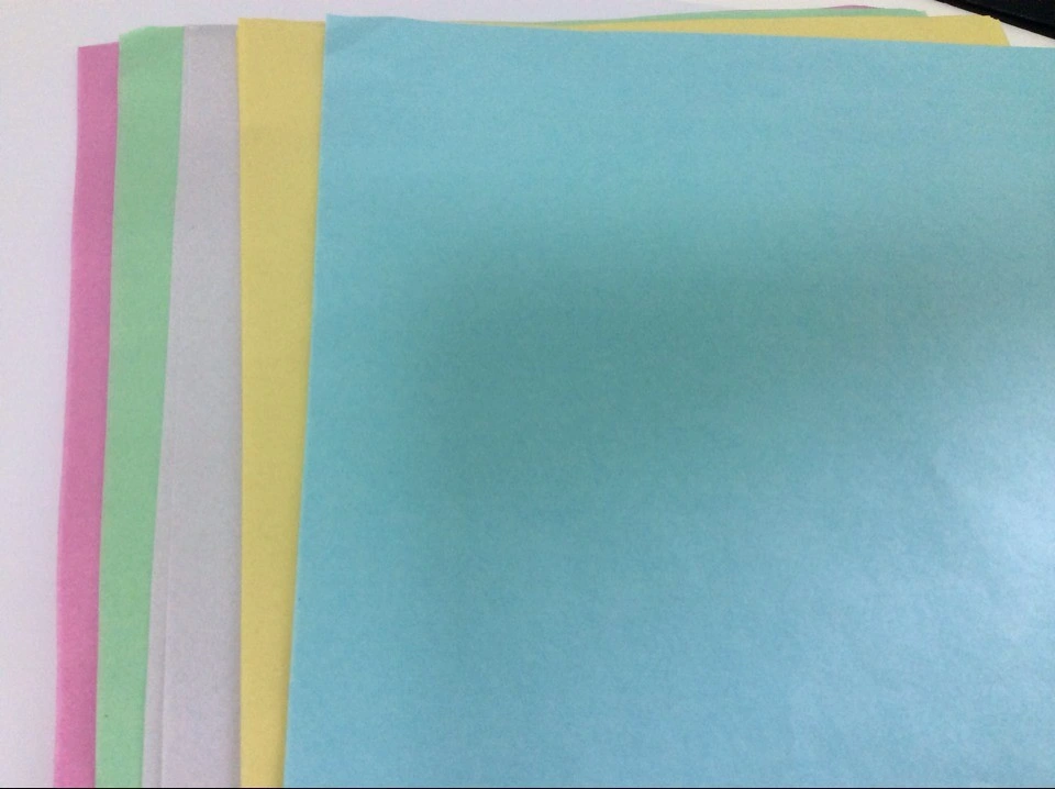 El color de papel para hacer portátil Pringting, recibo