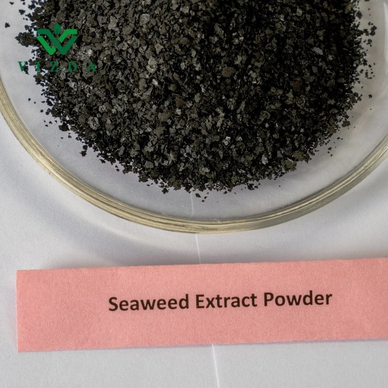 Wholesale/Supplier Price High Purity Seaweed Extract Powder/Flake