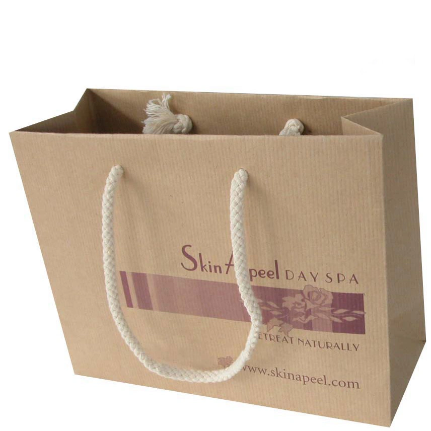 Low Cost Custom Brown Color Regular Kraft Paper Bag for Double Wine Packaging