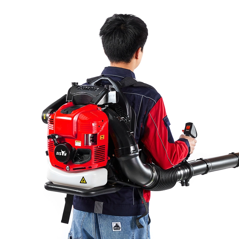 Bison 63cc Knapsack Gasoline Powered Backpack Leaf Blower, Petrol Snow Blower