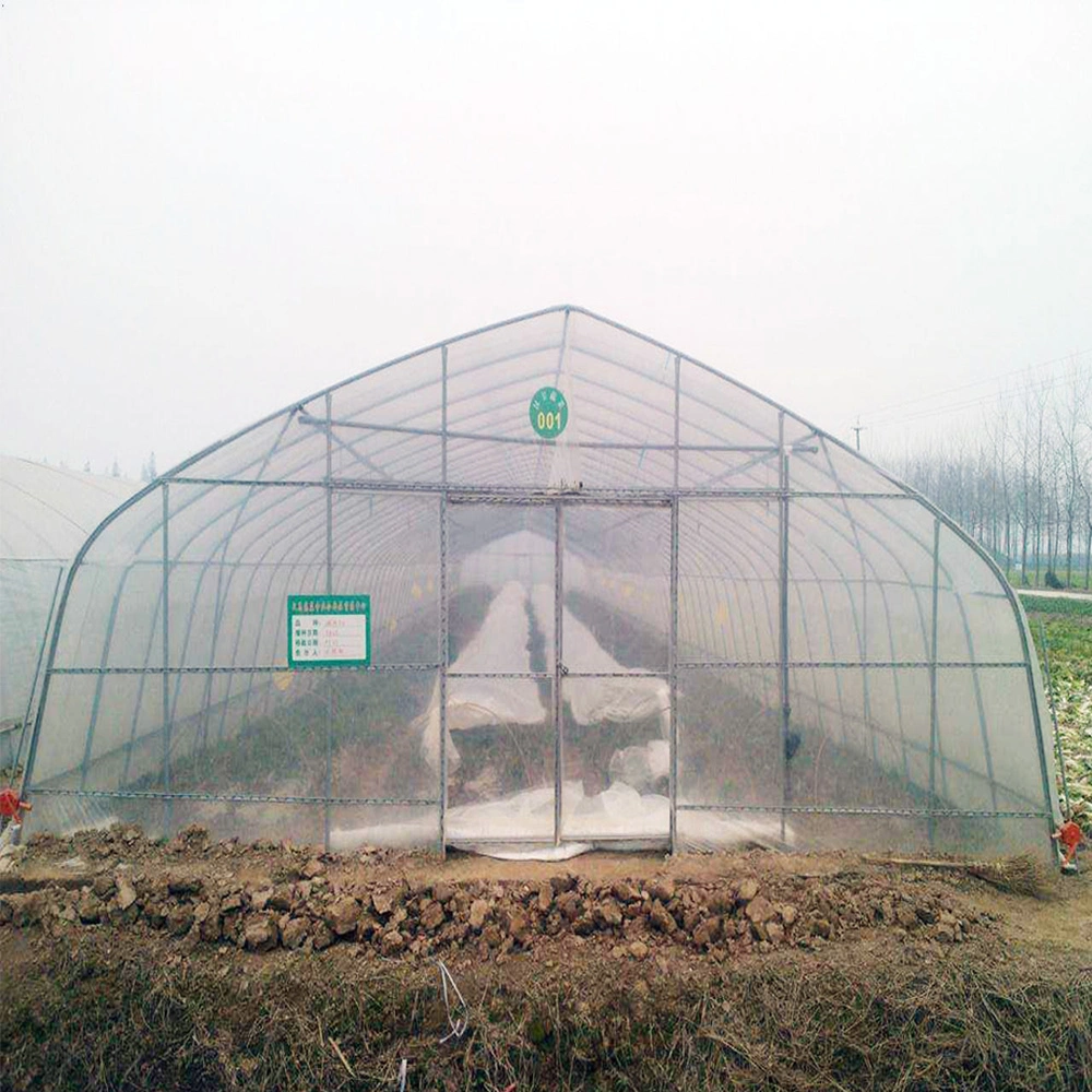 Single Span Arch Type Film Covered Modular Greenhouse
